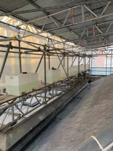 P Morgan Scaffolding